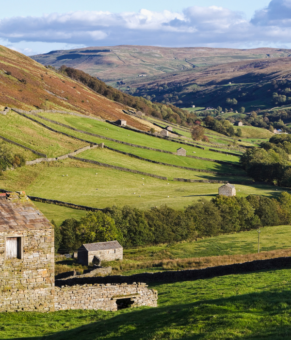 Rural shopping with MultishopsUK